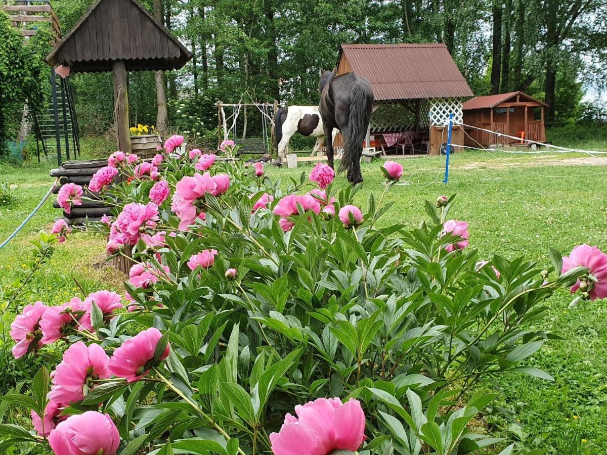 Kurnik Polski Agroturystyka Tykocin Exterior photo